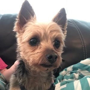 Meet your Posher, Jessica